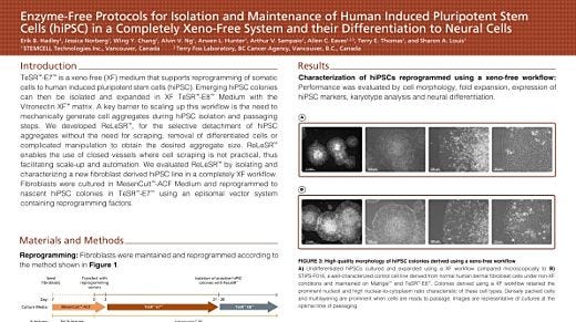 Enzyme Free Protocols for hiPSC in Xeno Free System