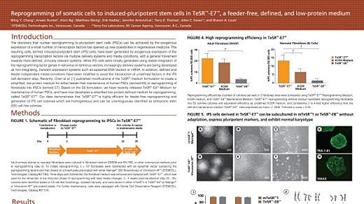 Reprogramming of Somatic Cells to Induced Pluripotent Stem Cells in TeSR&trade;-E7&trade;, a Feeder-Free, Defined, and Low-Protein Medium