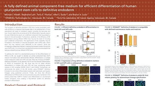 A Fully Defined Animal Component Free Medium for Efficient Differentiation of Human Pluripotent Stem Cells to Definitive Endoderm