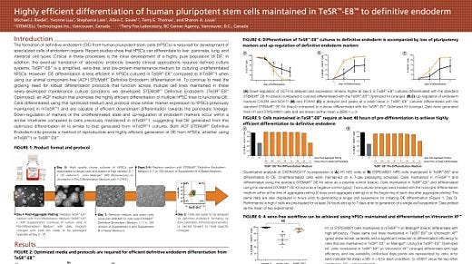 Highly Efficient Differentiation of Human Pluripotent Stem Cells Maintained in TeSR&trade;-E8&trade; to Definitive Endoderm