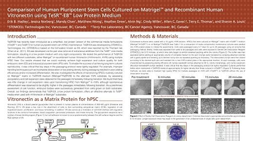 Comparison of Human Pluripotent Stem Cells Cultured on Matrigel&trade; and Recombinant Human Vitronectin Using TeSR&trade;-E8&trade; Low Protein Medium