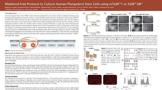 Weekend-Free Protocol to Culture Human Pluripotent Stem Cells Using mTeSR&trade;1 or TeSR&trade;-E8&trade;