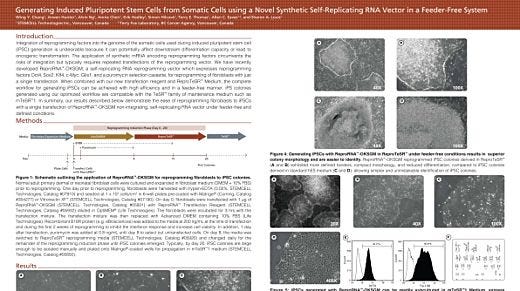 Generating iPSCs from Somatic Cells using a Novel Synthetic Self-Replicating RNA Vector in a Feeder-Free System