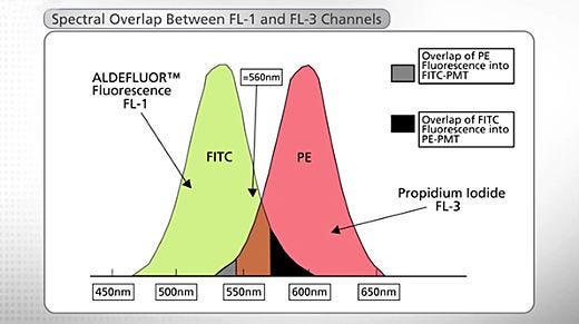 The Basic FACS About ALDEFLUOR™ - A Guide To Successful Flow Cytometry Analysis