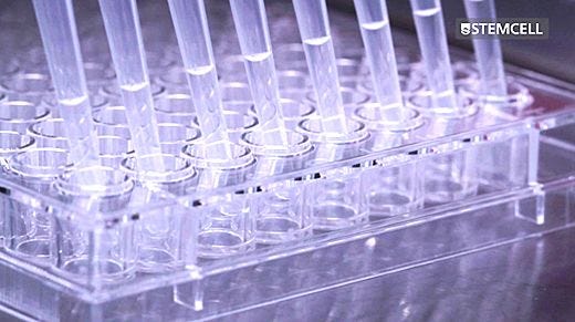 CHO Cell 96-Well Plate Semi-Solid Cloning Procedure