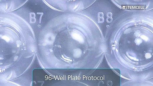 Customizable 96-Well Plate Semi-Solid Cloning Procedure for Mammalian Cells