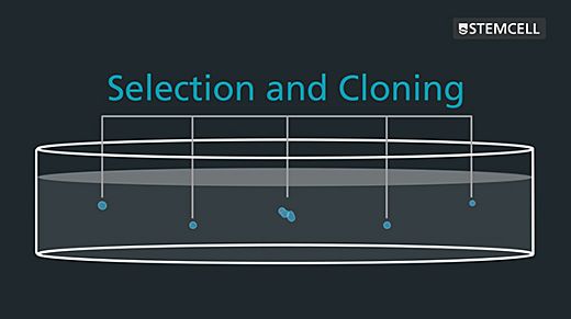 Semi-Solid Cloning with ClonaCell™