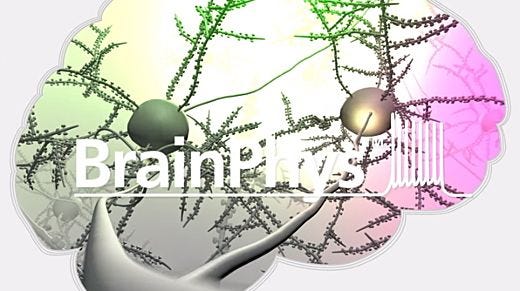 BrainPhys™: A New Way to Culture Neurons