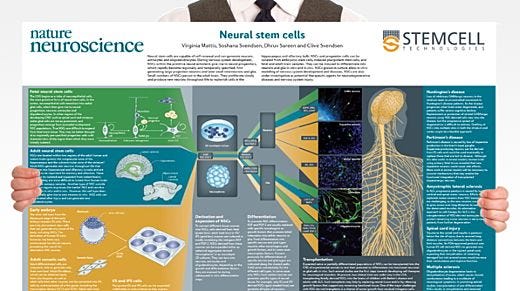 Neural Stem Cells