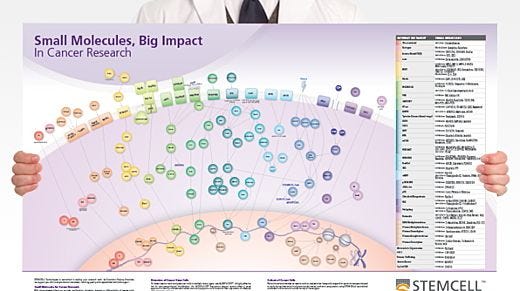 Small Molecules, Big Impact in Cancer Research