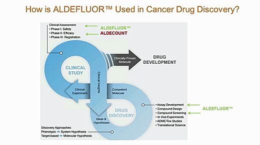 ALDH+ Cancer Precursor Cells in Drug Response Prediction