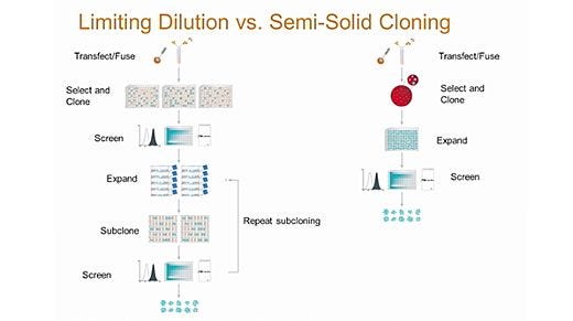 A Smarter Way To Clone: What You Don't Know About Limiting Dilution Can Hurt Your Probability of Monoclonality