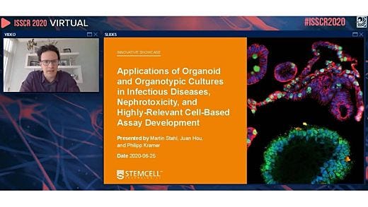Applications of Organoid and Organotypic Cultures in Infectious Diseases, Nephrotoxicity, and Highly Relevant Cell-Based Assay