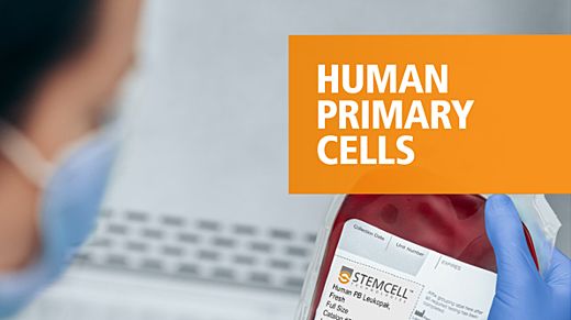 Human Primary Cells