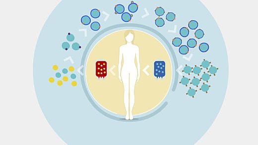 CAR T Cell Manufacturing Workflow: Isolation, Activation and Expansion