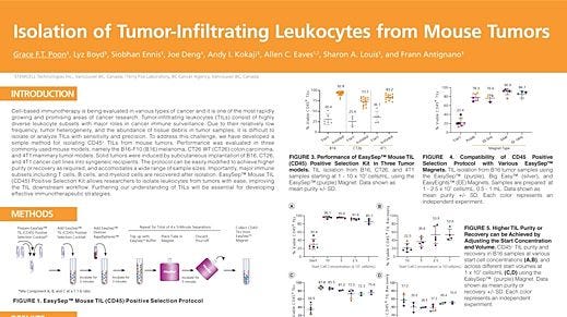 Isolation of Tumor-Infiltrating Leukocytes from Mouse Tumors
