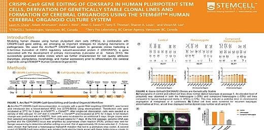 CRISPR-Cas9 Gene Editing Of CDK5RAP2 In Human Pluripotent Stem Cells