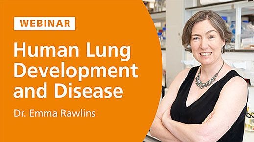 Human Lung Development and Disease: Lessons from Organoids