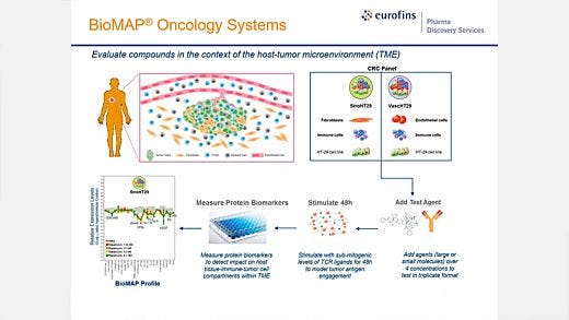 Evaluating the Immuno-Oncology Potential of Compounds Using Human In Vitro TME Models