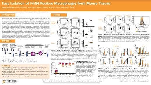Easy Isolation of F4/80-Positive Macrophages from Mouse Tissues