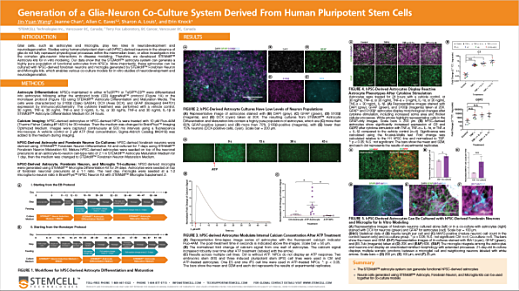 Generation of a Glia-Neuron Co-Culture System Derived From Human Pluripotent Stem Cells