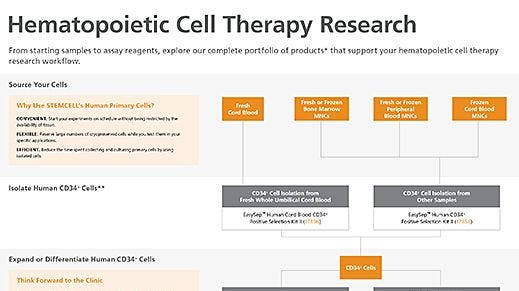 Hematopoietic Cell Therapy Research Workflow