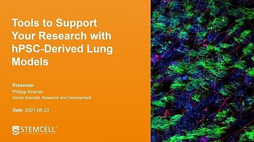 hPSC-Derived Lung Models as Tools for Respiratory Research