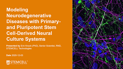 Modeling Neurodegenerative Diseases with Primary- and Pluripotent Stem Cell-Derived Neural Culture Systems