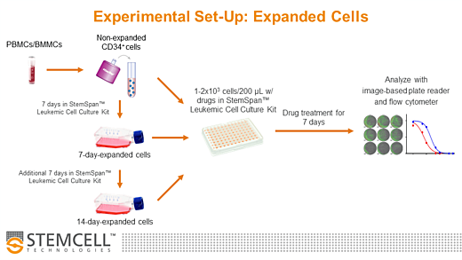 Troubleshooting In Vitro Expansion of Leukemic Cells