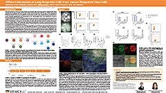 Efficient Generation of Lung Progenitor Cells From Human Pluripotent Stem Cells