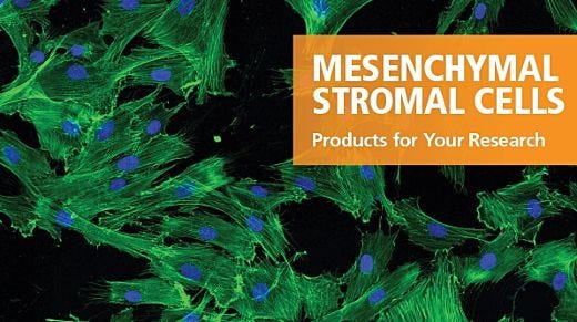 Products for Your Mesenchymal Stromal Cell Research