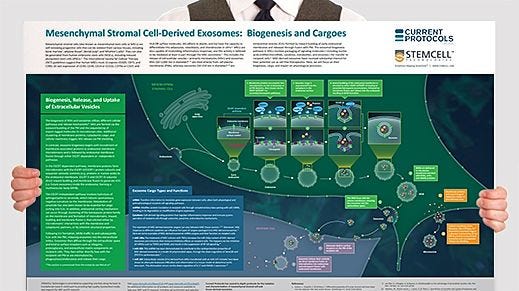 Mesenchymal Stromal Cell-Derived Exosomes: Biogenesis and Cargoes