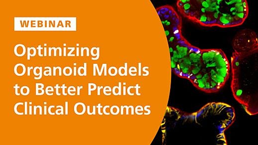 Optimizing Organoid Models to Better Predict Clinical Outcomes