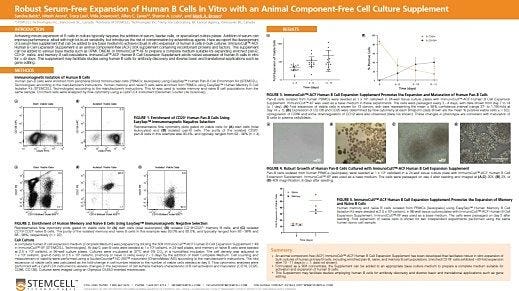 Robust Serum-Free Expansion of Human B Cells In Vitro with an Animal Component-Free Cell Culture Supplement