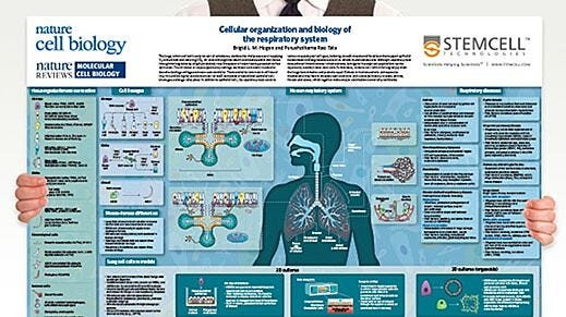 Cellular Organization and Biology of the Respiratory System