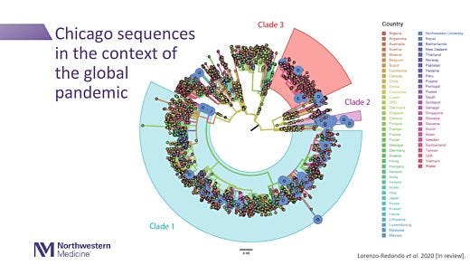 SARS-CoV-2 Viral Diversity: Causes, Consequences, and Opportunities