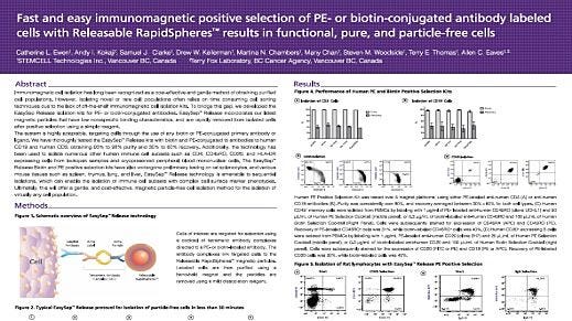 Fast and Easy Immunomagnetic Positive Selection of PE- or Biotin-Conjugated Antibody Labeled Cells with Releasable RapidSpheres™ Results in Functional, Pure and Particle-Free Cells