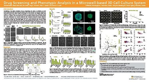 Drug Screening and Phenotypic Analysis in a Microwell-based 3D Cell Culture System