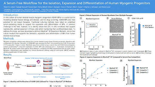 A Serum-Free Workflow for the Isolation, Expansion and Differentiation of Human Myogenic Progenitors