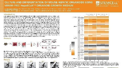 Culture and Differentiation of Mouse Hepatic Organoids Using Serum-free Hepaticult™ Organoid Growth Medium