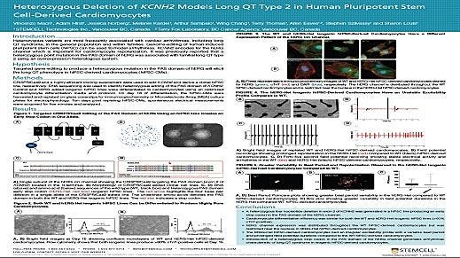 Heterozygous Deletion of KCNH2 Models Long QT Type 2 in Human Pluripotent Stem Cell-Derived Cardiomyocytes