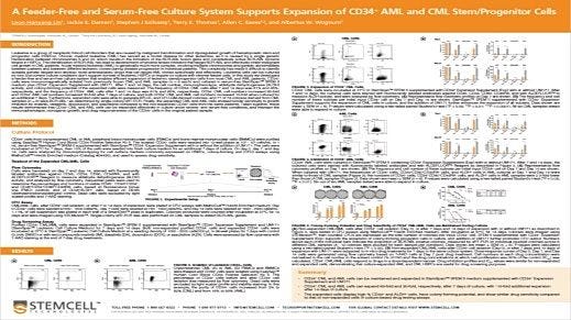 A Feeder-Free and Serum-Free Culture System Supports Expansion of CD34+ AML and CML Stem/Progenitor Cells