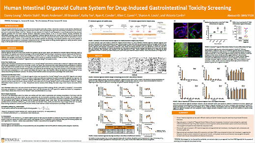 Human Intestinal Organoid Culture System for Drug-Induced Gastrointestinal Toxicity Screening