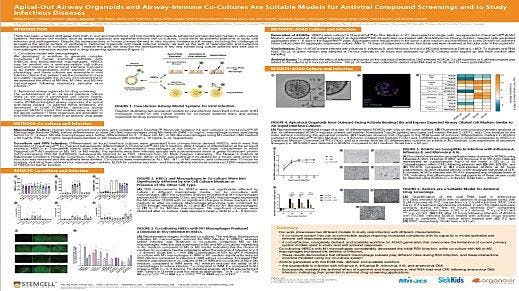 Apical-Out Airway Organoids and Airway-Immune Co-Cultures Are Suitable Models for Antiviral Compound Screenings and to Study Infectious Diseases