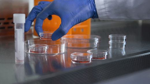 CFU Assay Instructions for Global Proficiency Testing Programs