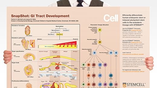 SnapShot: GI Tract Development