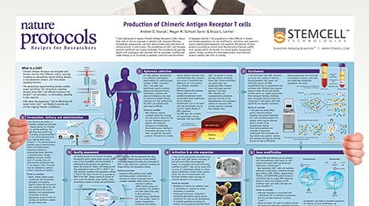 Production of Chimeric Antigen Receptor T cells