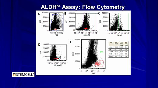 Development and Validation of a Rapid ALDHbr-Based Cord Blood Potency Assay