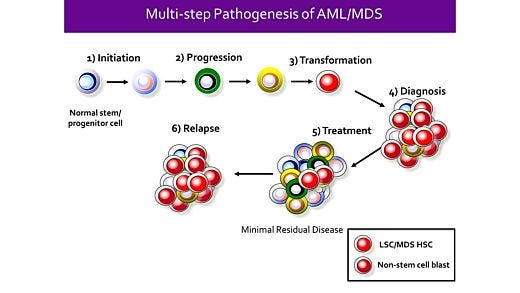 Identification of Stem Cells in Myeloid Malignancies - Opportunities for Discovery and Translation