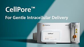 CellPore™: For Gentle Intracellular Delivery